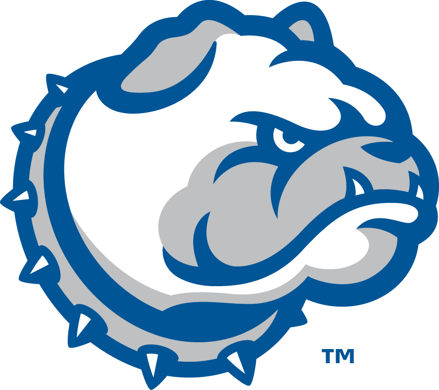 Drake Bulldogs 2015-Pres Wordmark Logo v5 diy iron on heat transfer